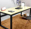 Modne wzornictwo proste stalowe meble biurowe niestandardowe wielokolorowe biurko